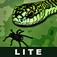Tarantula vs Snake Lite